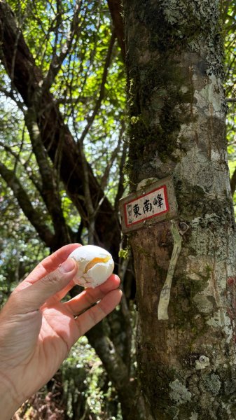 加里山東南峰封面