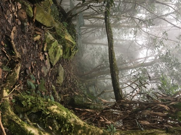 鳥嘴山（上島2708553