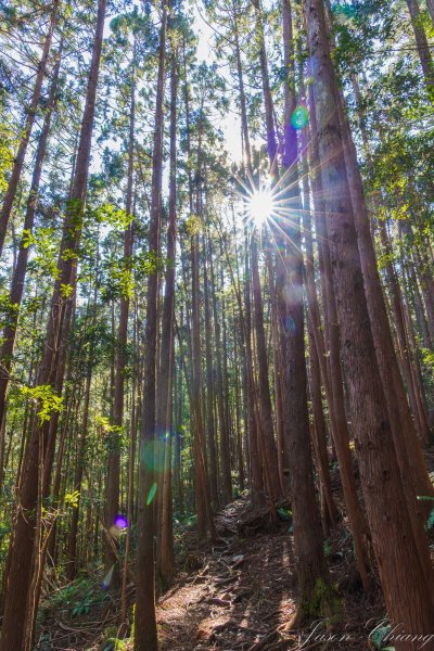 谷關七雄_八仙山2679619