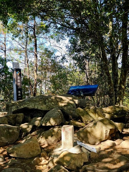 唐麻丹山-谷關七雄(老么)2991566