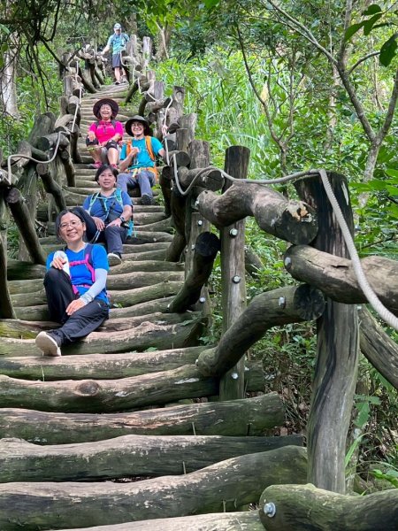 大坑1號和2號步道2826383