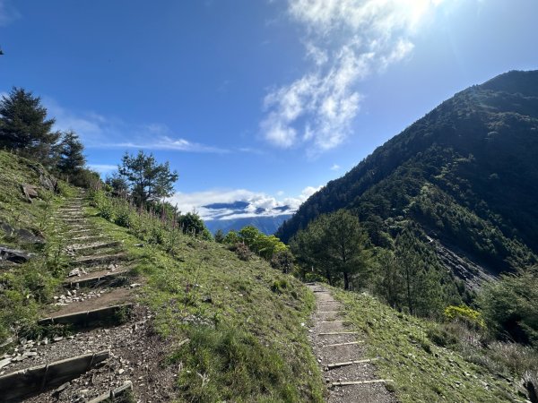 鹿林前山、鹿林山、麟趾山O繞縱走2799638