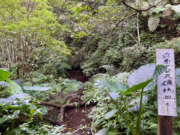 三峽動物縱走1215882