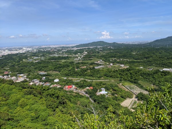 20200628雞冠山自然生態步道1013097