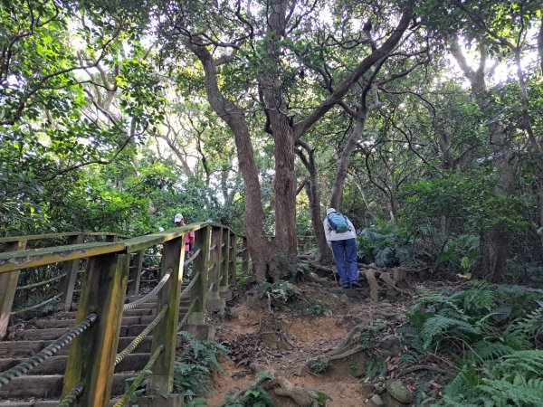 桃園羊稠森林，虎頭山，福山巖，石門山步道3128064