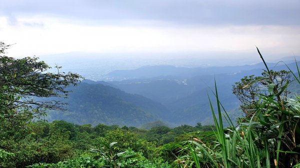 抹茶山，聖母登山步道，隆隆山，福卯古道，水柳腳登山步道，觀音台步道，北勢溪自行車道1742249