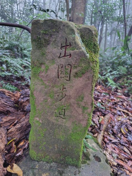 苗栗關刀山2975079