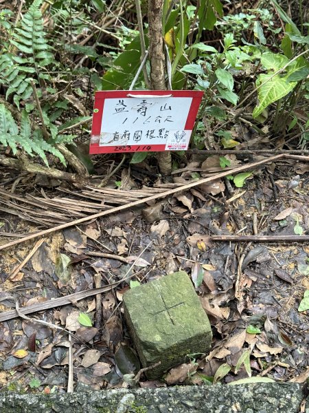 七上八下2713412