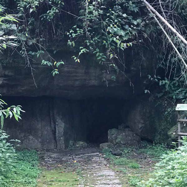 大凍山步道，頂湖出發935497