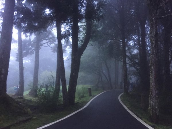 阿里山賓館~祝山小火車~小笠原觀日出661530