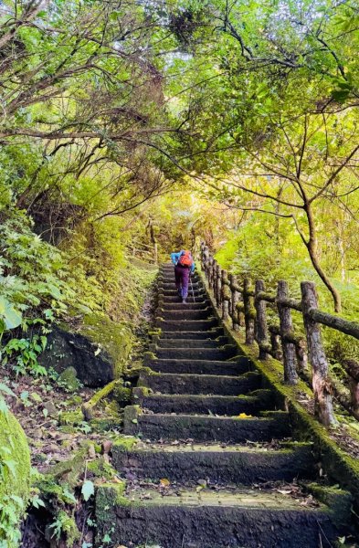 二格山走南邦寮山經草湳福德宮回二格公園3005868
