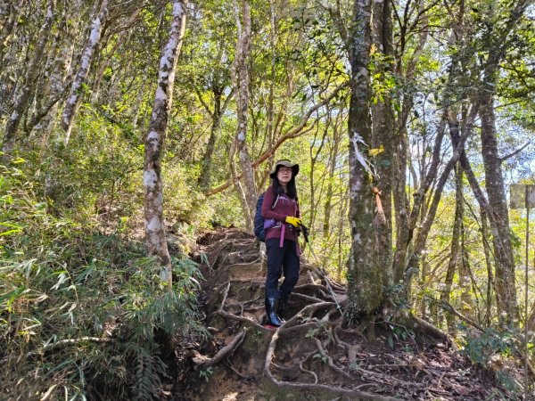 高島縱走202502152713773