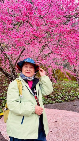 🌈3/1（日）福壽山農場~千櫻園✨FB：熊熊趴爬走🌈3008554