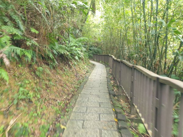 臺北大縱走第六段1516083