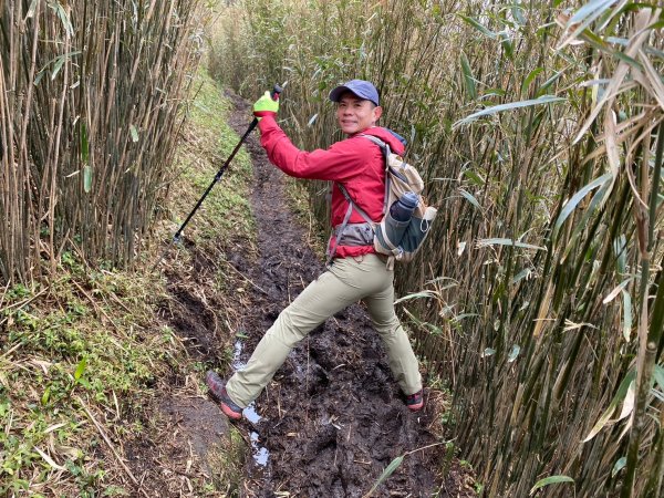 小觀音山群峰【當登山遇到惰性來襲時…】2686368