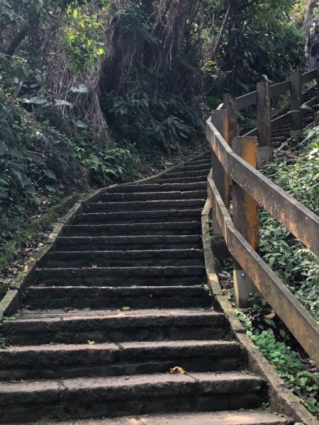 麗山橋口親山步道封面