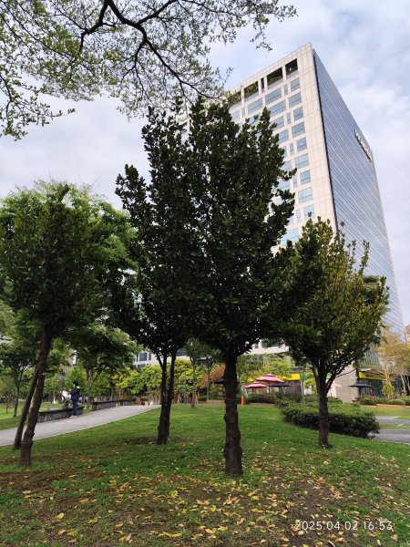 臺灣桃園國際機場、松江公園、大港墘公園2751915