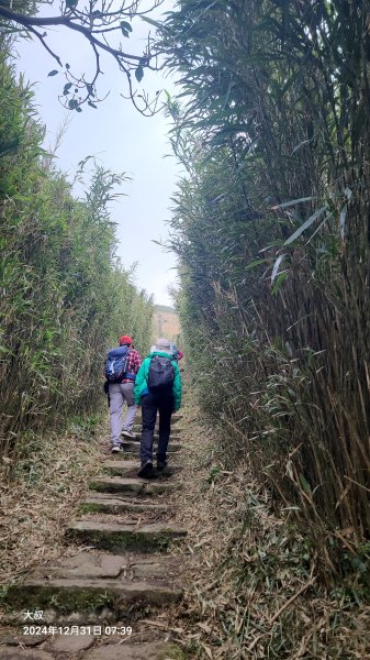 20024-1231臺北大縱走第二段：大屯主西南二子坪O型2680136