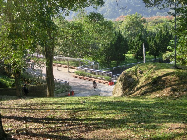 槭林公園．石門水庫．南苑園區237395