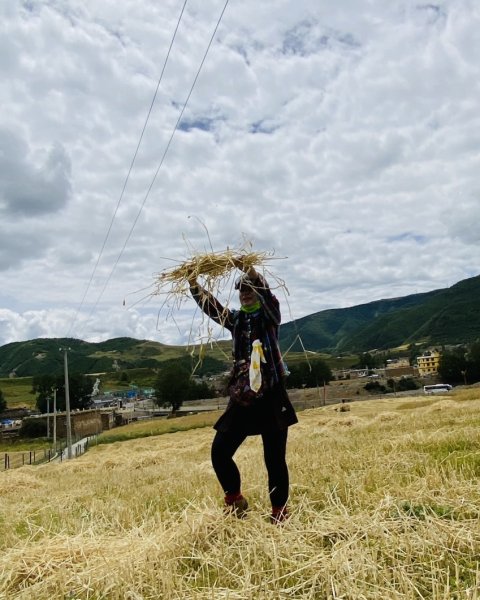 川藏深度之旅33天/A行程2901376