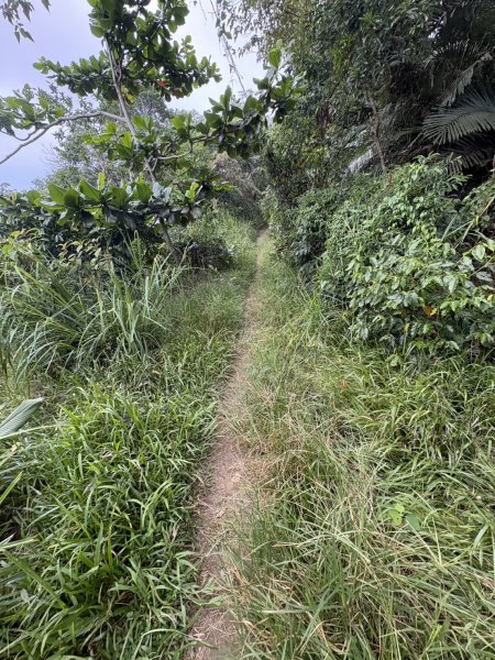 20251018台南 崁馬鞍部啟登崁頭山2920736