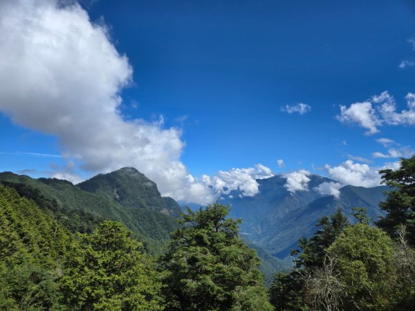 塔塔加步道（大鐵杉登山步道）2883104