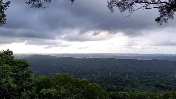 20250517 倒別牛-中坑山-飛鳳山 大O型2790378