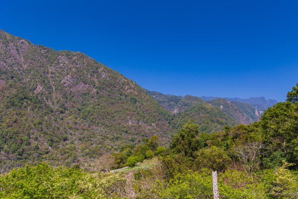 谷關七雄_唐麻丹山3015606