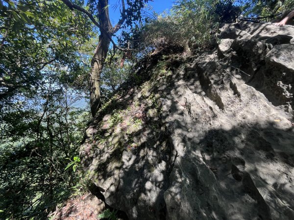 [微笑山線_第九段] 2025_0914 二格山系_皇帝殿東峰2889524