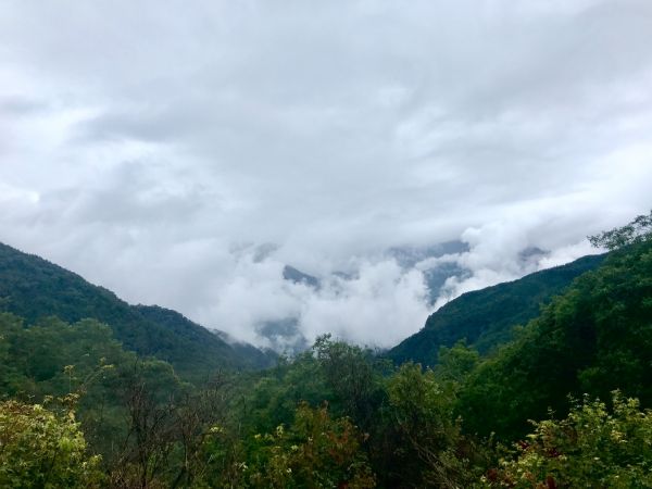 觀霧瀑布步道-雪霸國家公園162498