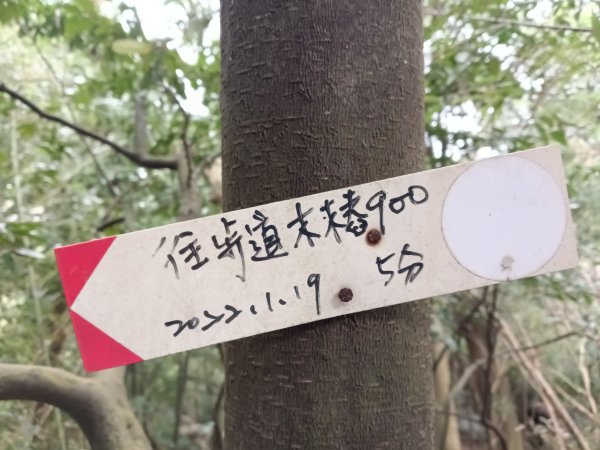 寶山鄉寶山水庫(寶山東峰+中峰+中西峰+西峰+西北峰)+尖山O型3012546