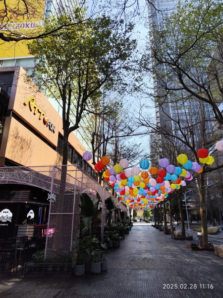 台北信義商圈步道、大港墘公園夜景2723247