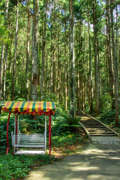 馬武督探索森林2930701