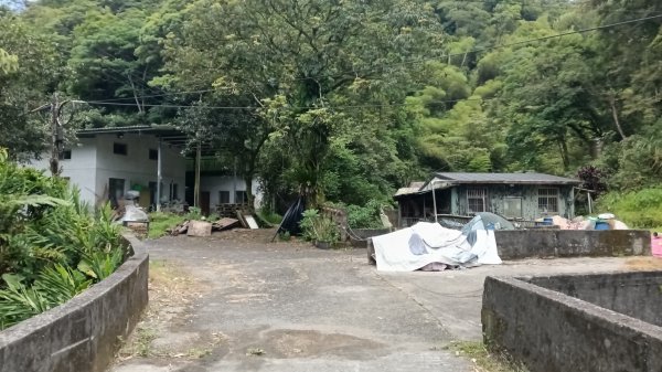 雙溪區烏山越嶺古道西段3073315