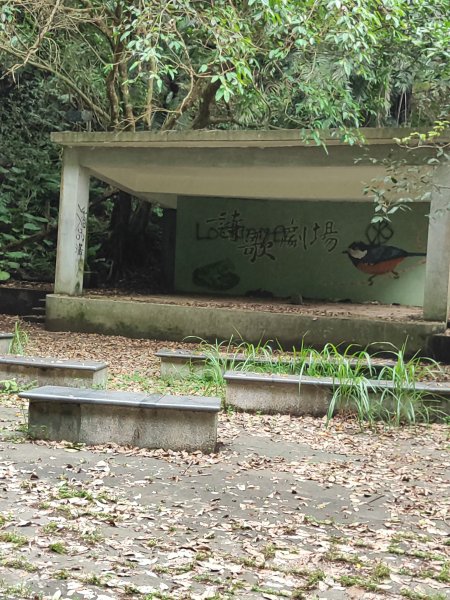 微笑山線：【二格山系】和美山螢火蟲段2834861