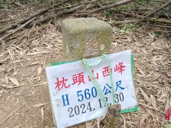 枕頭山-枕頭山西峰封面