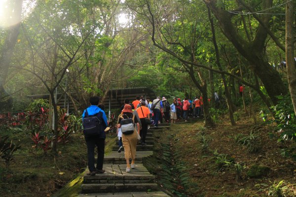 汐止大尖山健行活動 20191109735076