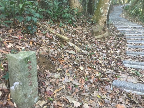 20210116-關刀山1238203