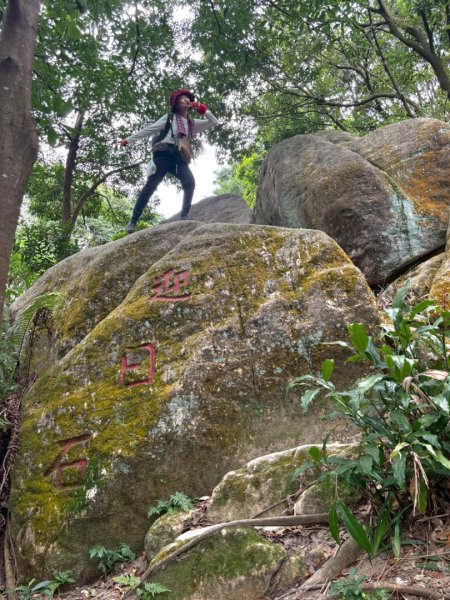 圓通寺烘爐地登山步道大O走3007153