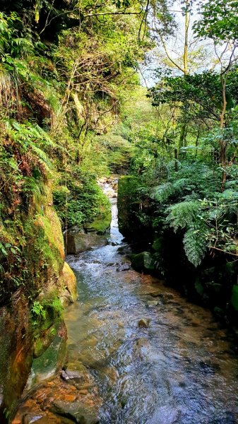 基隆暖東峽谷，金山獅頭山公園，燭臺雙嶼，金包里山，神秘海岸，巨岩海蝕洞（一線天）1729070