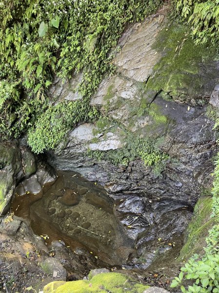 微笑山線/五分山系3013345