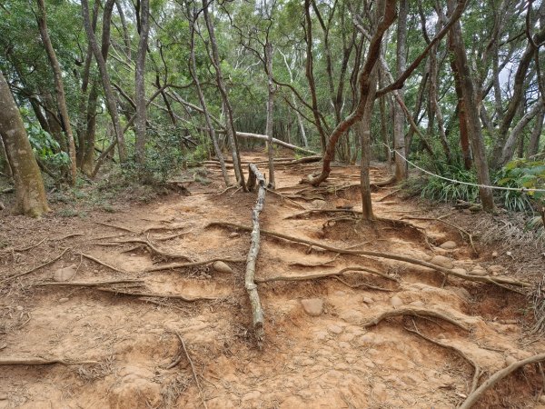 苗栗－火炎山3054329
