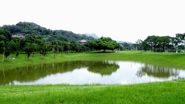 山佳荷花池2172764