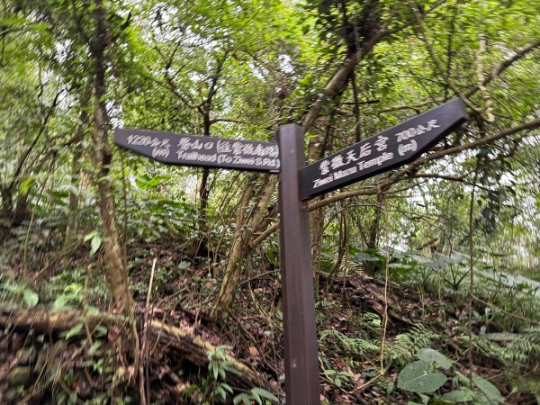 紫微聖母環山步道走六寮崙山與西南峰2989130