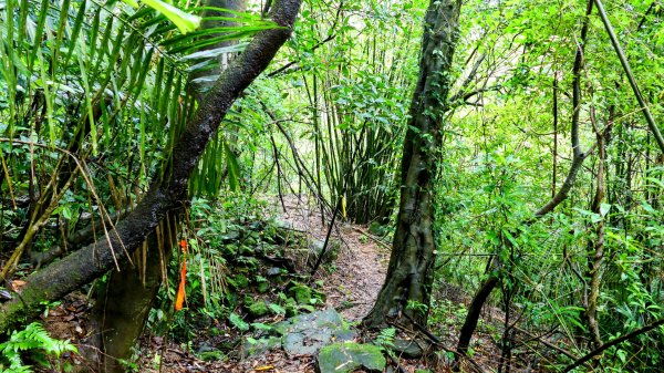石笋古道,焿子寮古道,松子嶺古道2798346