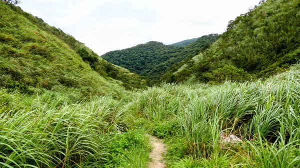 桶後越嶺古道2876804