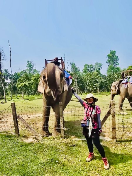 尼泊爾奇旺國家公園4天三夜2788904