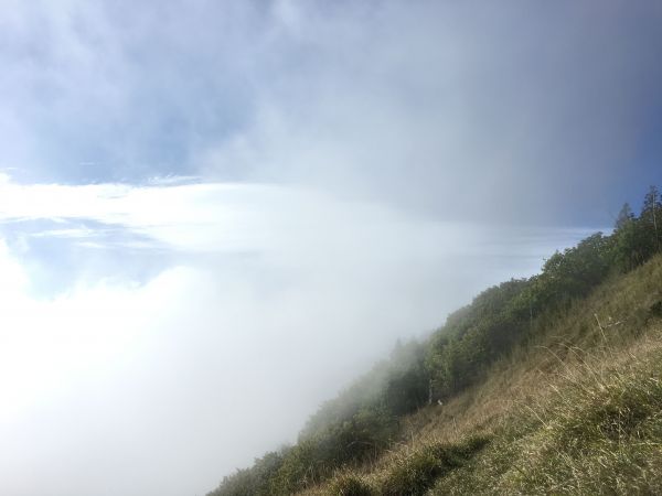 20170525-26 雪山主峰東峰134263