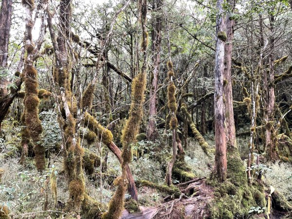 魔幻森林三星山與三星池1658332