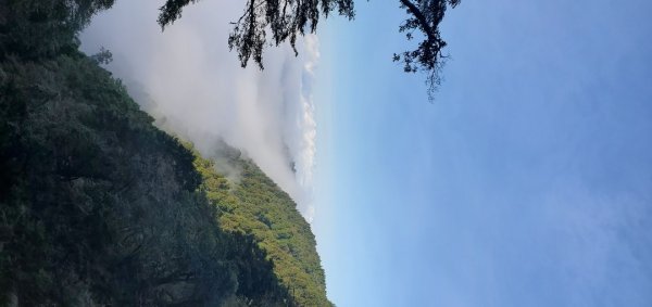 太平山見晴懷古步道2326081